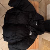 Giubbotto the north face