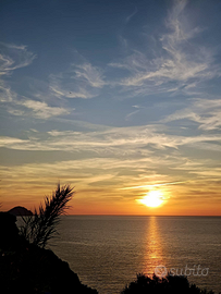 Monolocale acqua marina