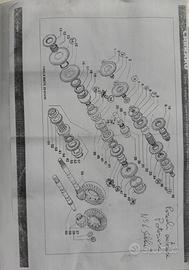 ANTONIO CARRARO TIGRONE, SUPER TIGRE, FRUTTETO