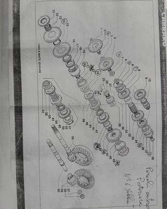 ANTONIO CARRARO TIGRONE, SUPER TIGRE, FRUTTETO