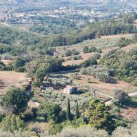 Terreno agricolo
