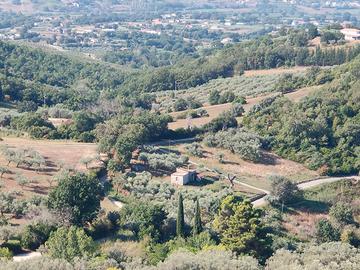 Terreno agricolo