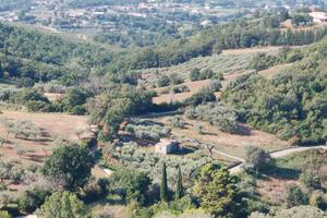 Terreno agricolo