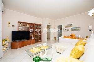 AMPIO 3 LOCALI CON TERRAZZO, BOX E CANTINA!