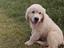 Immagine 6