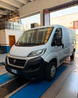 FIAT DUCATO  POSSIBILITA' FATTUAZIONE