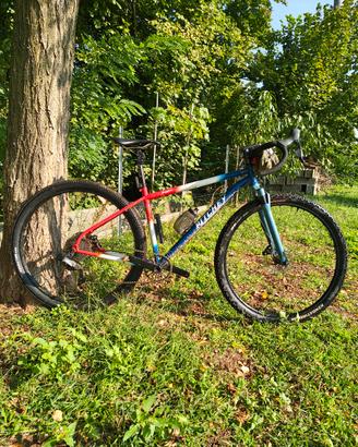 Ritchey P29 tg M  Team Edition