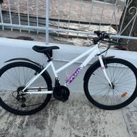Bici ragazza 8-14 anni