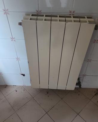 termosifoni alluminio