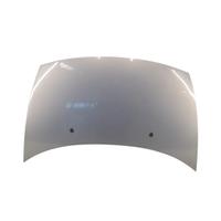 Cofano Citroen C3 1a Serie 1.4 Diesel del 2004