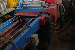 Semiinatrice Urbinati x Vivaio