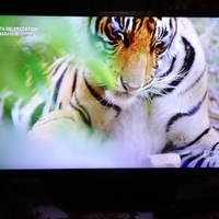 Tv led LG 32" ln540b