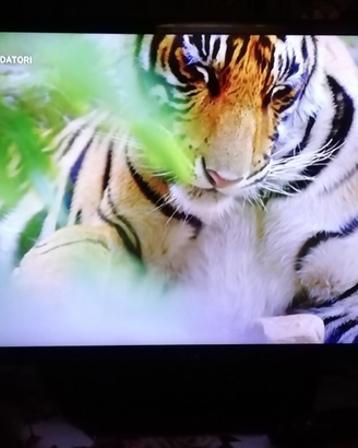 Tv led LG 32" ln540b