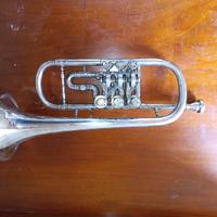 Flicornino Mib a cilindri Vademecum
