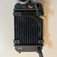 RADIATORE MONTESA COTA 315