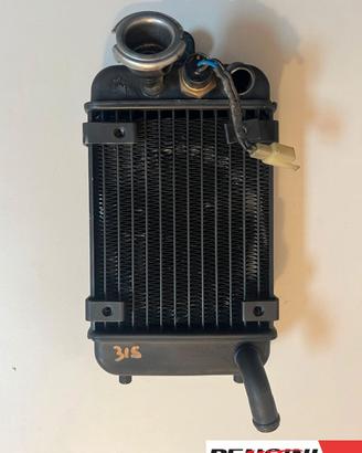 RADIATORE MONTESA COTA 315