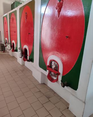 botti in cemento 