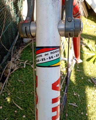 bici da corsa 
