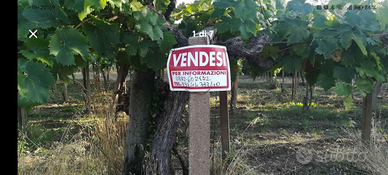 Terreno agricolo