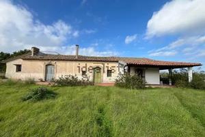 Casale + 7 ettari terreno