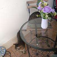 Vaso con fiori artificiali