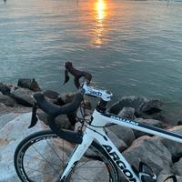Bici da corsa Argon 18 Gallium