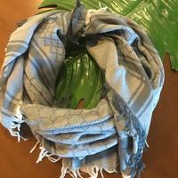 Sciarpa Gucci azzurro polvere