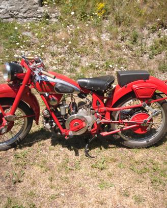 guzzi Airone 250 sport