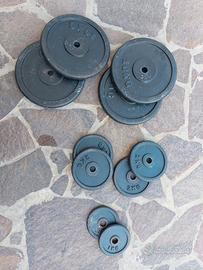 pesi palestra