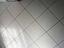 Immagine 15