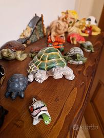 tartarughe 