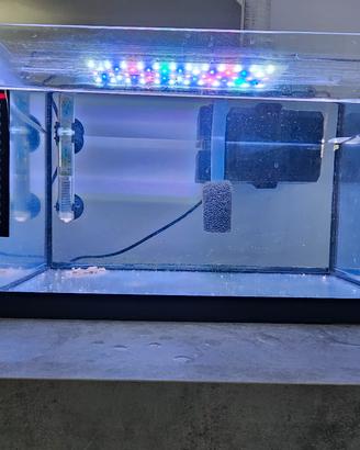 Acquario 30 lt