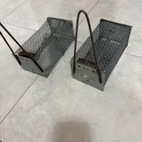 2 trappole per topi