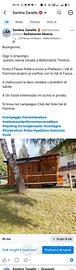 Casa in legno Bungalow presso campeggio 