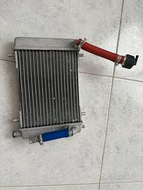 radiatore malossi