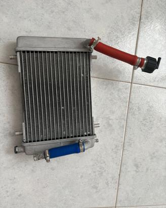 radiatore malossi