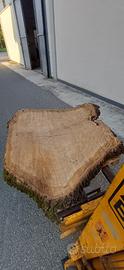 Legno di quercia per ripiano tavolo