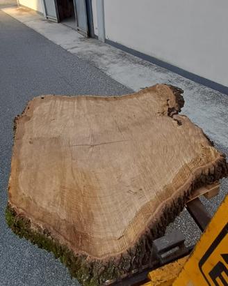 Legno di quercia per ripiano tavolo