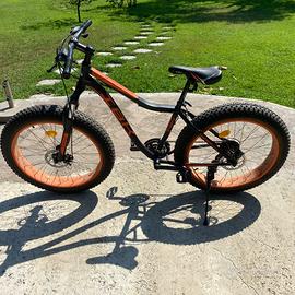 Fat bike