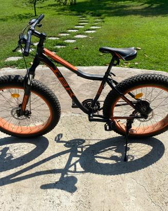 Fat bike