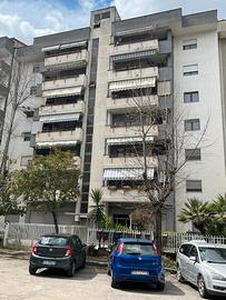 A Ragazze studentessa o lavoratrice