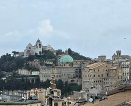 V 2384 - ancona