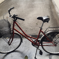Bicicletta city bike rossa