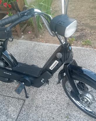 CIAO PX