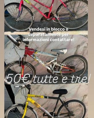 bicicletta 