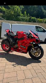 Panigale v4s 2023