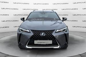 Lexus UX 250h 2.0 Business 2wd cvt