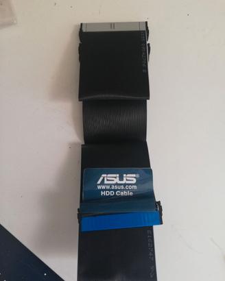 Cavo HDD - Asus