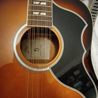 chitarra eko ranger 12 corde preamplificata