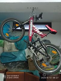 Bicicletta Mountain bike
